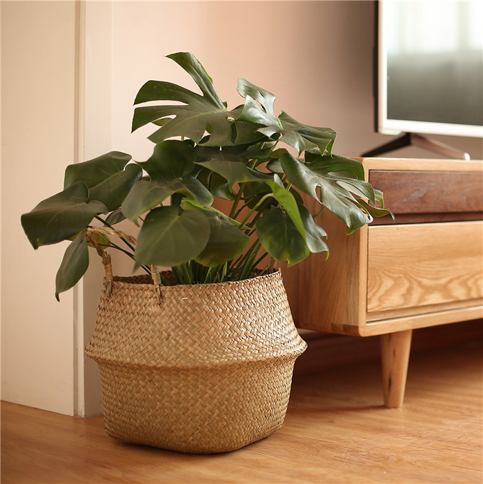 Woven Straw Flowerpot Basket