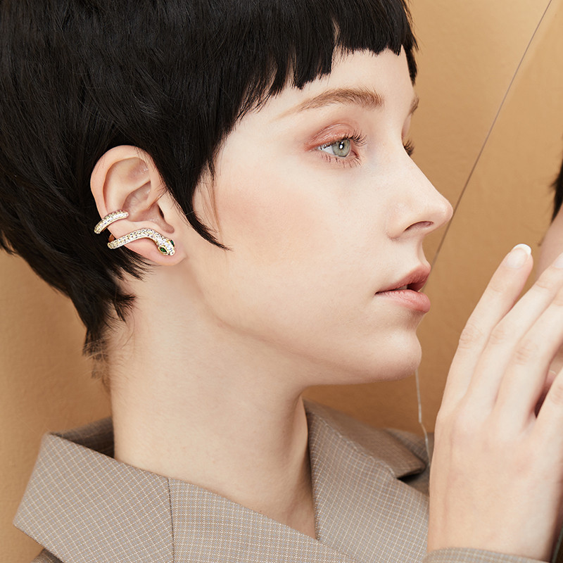 Korean Temperament Net Celebrity Earrings Niche High-end Design Sense