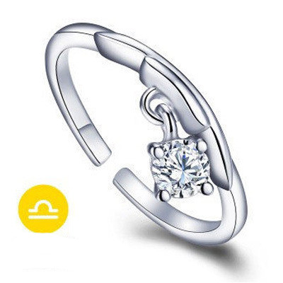 12 Zodiac Ring Aries Taurus Gemini Cancer Virgo Libra Scorpius Sagittarius Capricornus Wedding Love CZ  Adjustable Rings