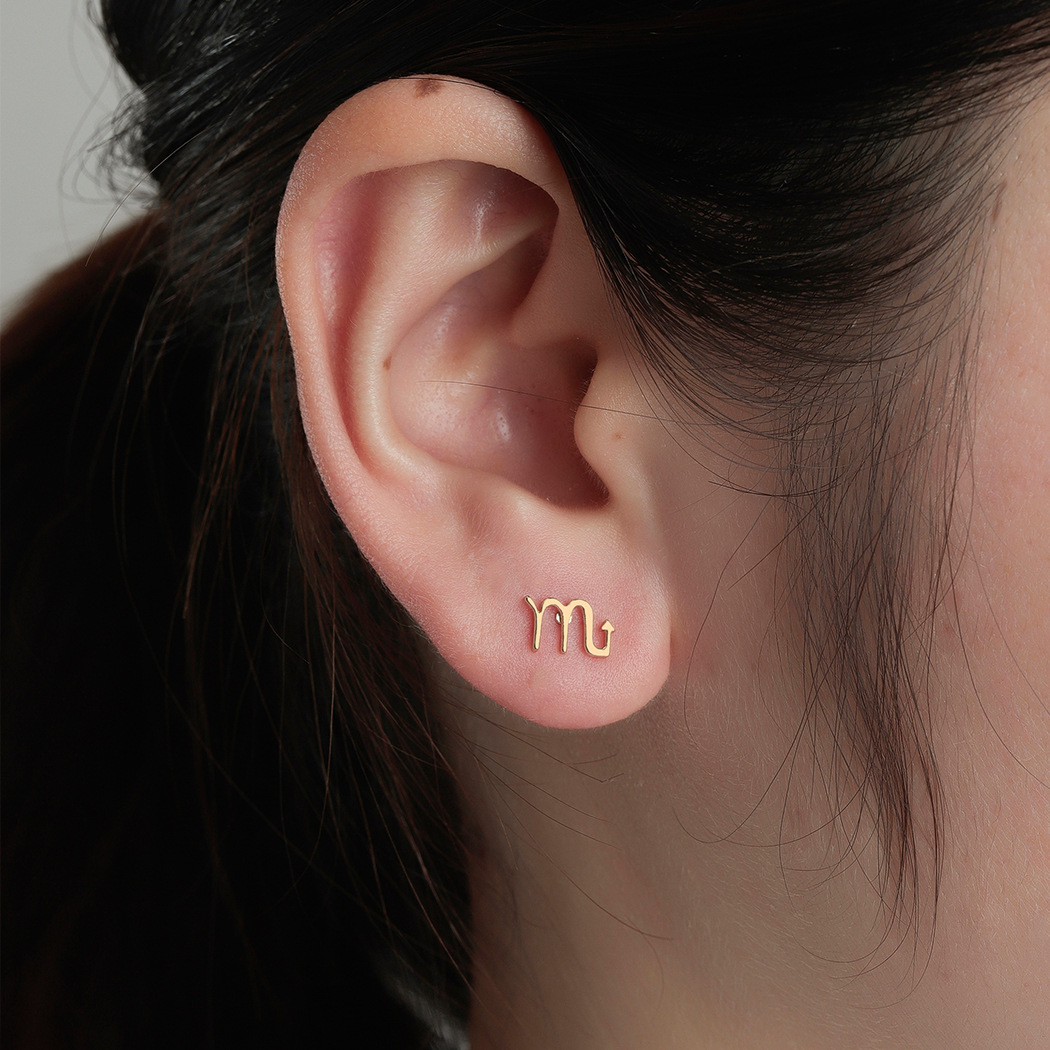 Twelve Constellation Symbols Earrings Jewelry Female
