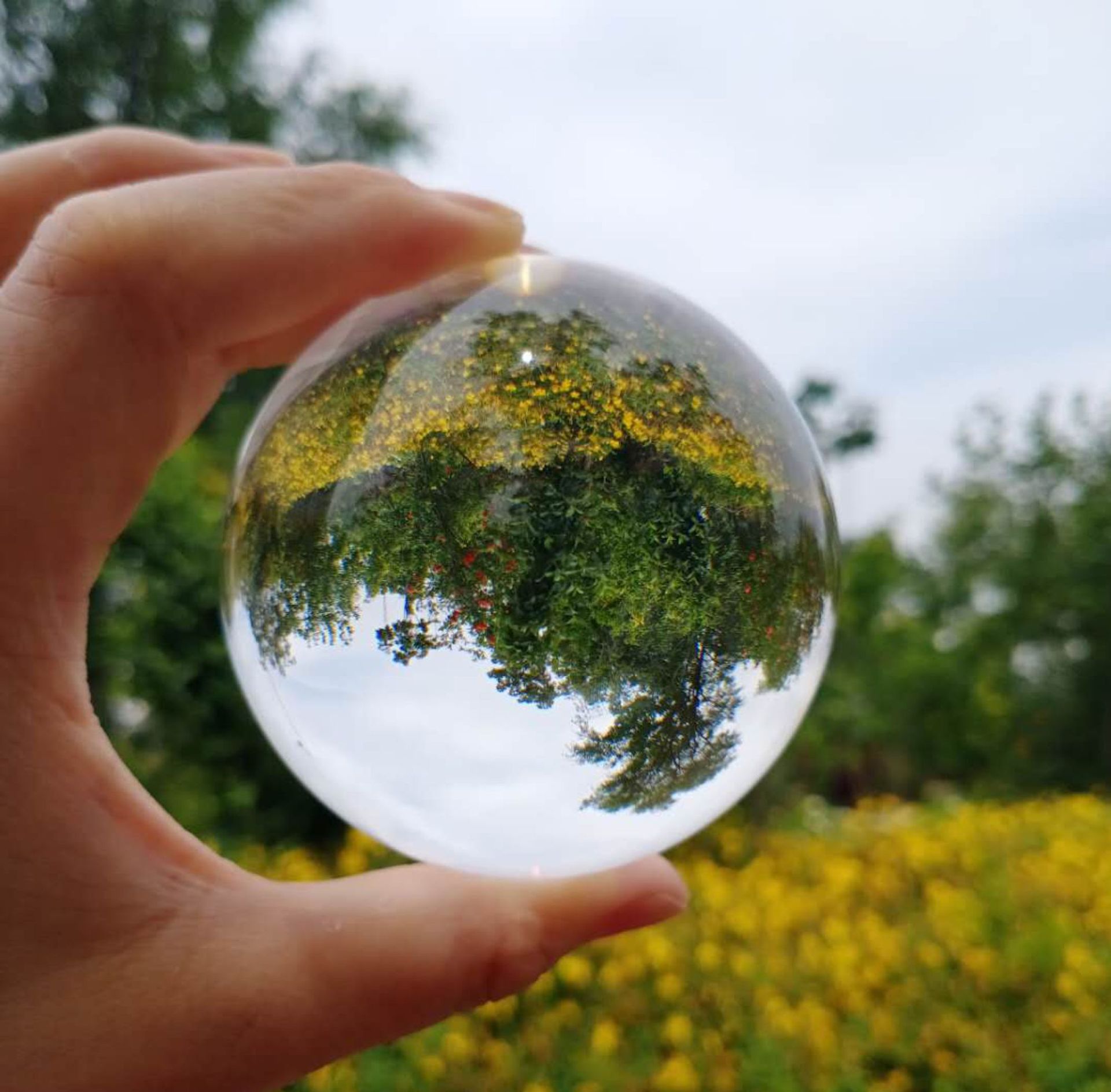 Crystal Ball Transparent Crystal Ball Crystal Ball Transfer