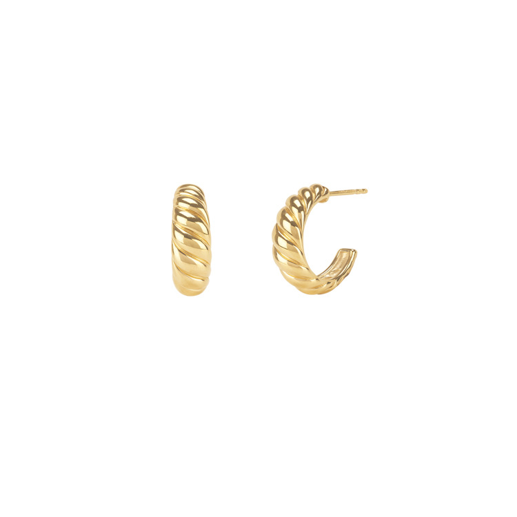 Foreign Trade European And American Small Horn Twisted Earrings Twisted Semicircular Earrings Ins Style Fashion Earrings Female Manufacturers Wholesale