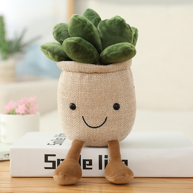 Succulent Rice 25cm