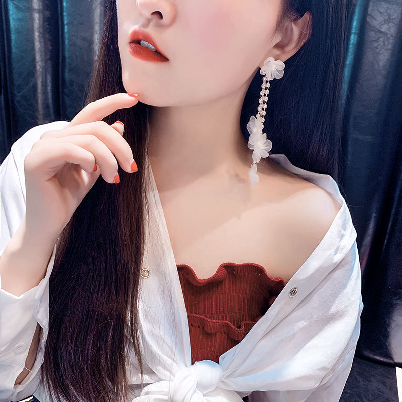 Title 5, Korean Net Red Fashion Earrings Earrings