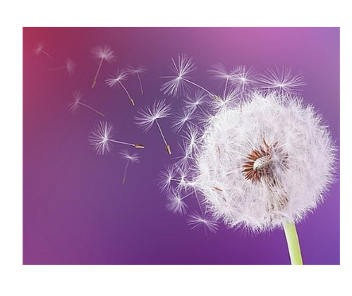 Homfun 5D Diamond Painting Full Square  Round Dandelion Colors Sky Picture Of Rhinestones Diy Diamond Embroidery Home Decor