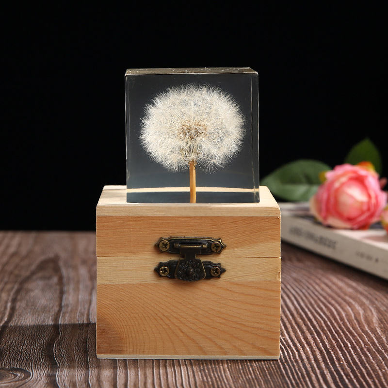 Daisy ornaments, colorful chrysanthemum and sunflower,
