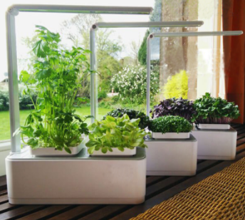 Hydroponic Self-Absorbent Planting Box, picture 3 of 3