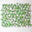 Green Leaf