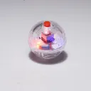 Transparent Case