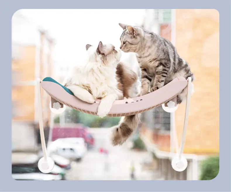 Cat Hammock Bask in the Sun Hanging Cat