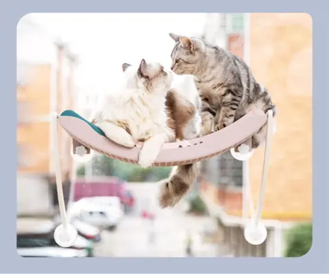 Cat Hammock Bask in the Sun Hanging Cat