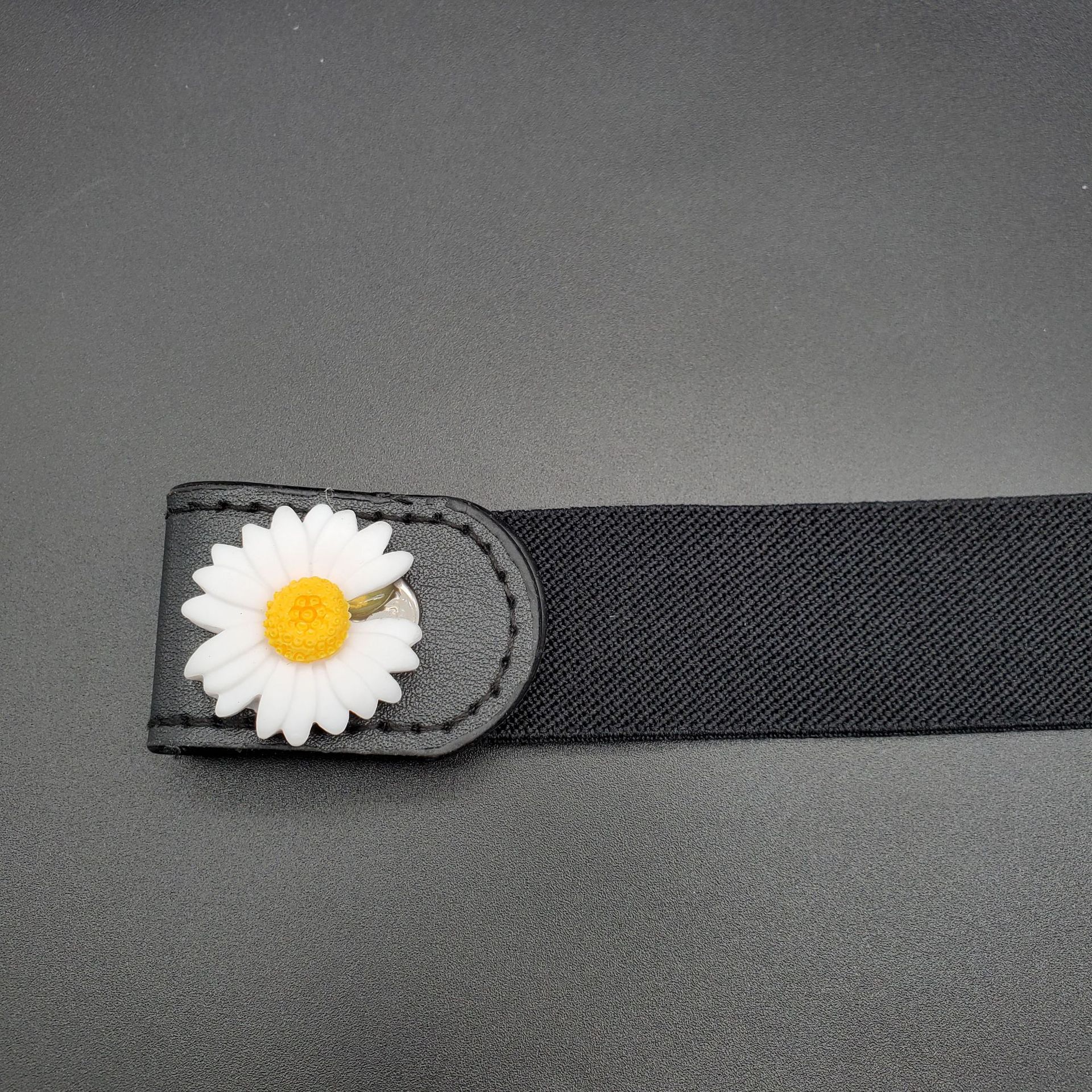 Black daisy