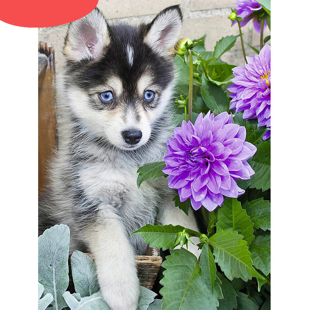 Diamond Painting Full Of Diamonds DIY Dog Home Decoration Painting