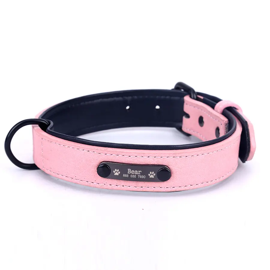 Dog Collar Lettering and Anti Loss Nameplate Custom Dog