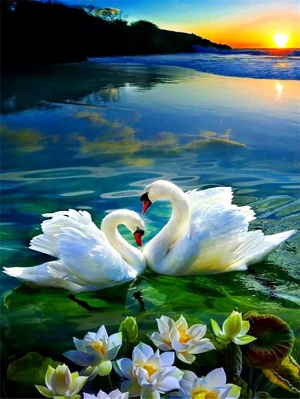 Diamond Painting Embroidery Swan Lake 30X40Cm - Shop at LoveMi