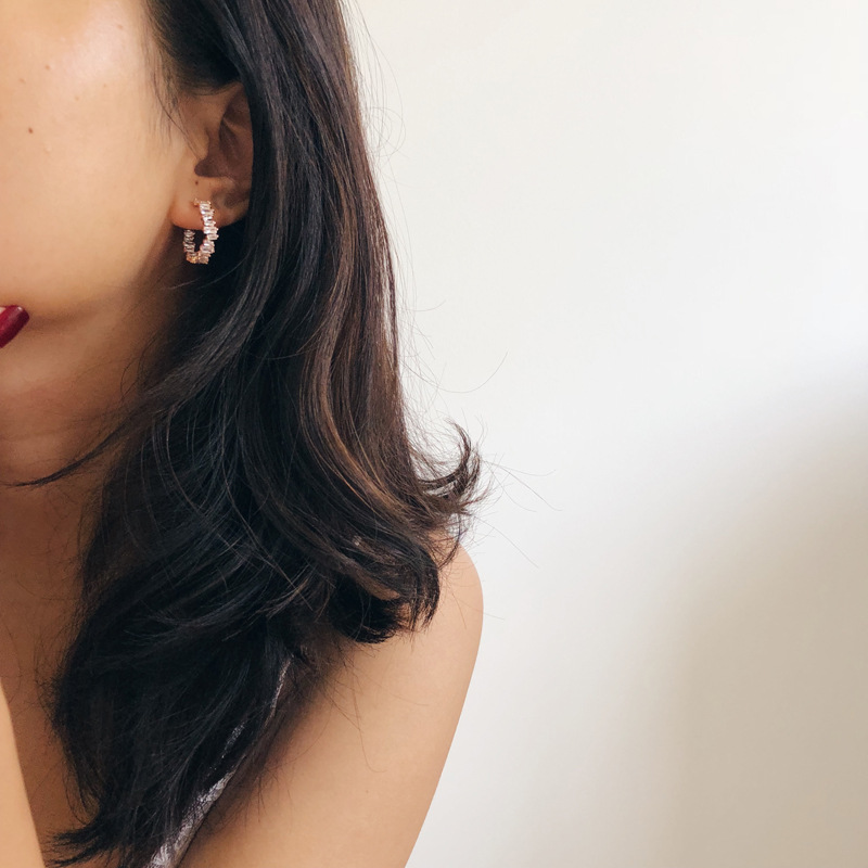 South Korea Dongdaemun Earrings Female Simple Temperament Micro-inlaid Zircon Earrings