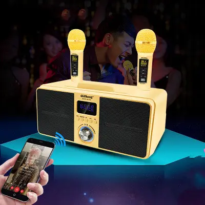 Home KTV Audio Creative Dual Microphone Subwoofer