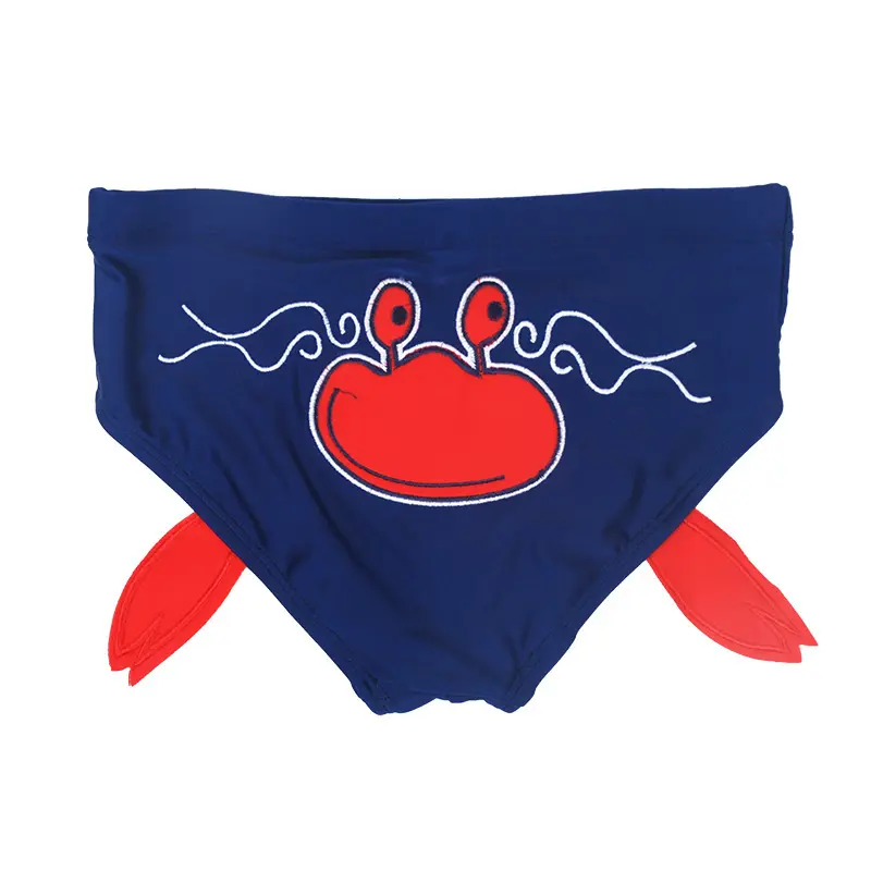 Baby Swimming Trunks Cute Embroidered Double Deck