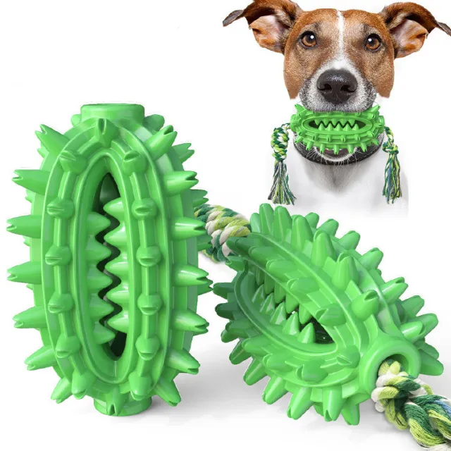 Dog Toy With Rope Fairy Ball Molar Stick Toothbrush Dog Vent Chew Green - Shop at LoveMi