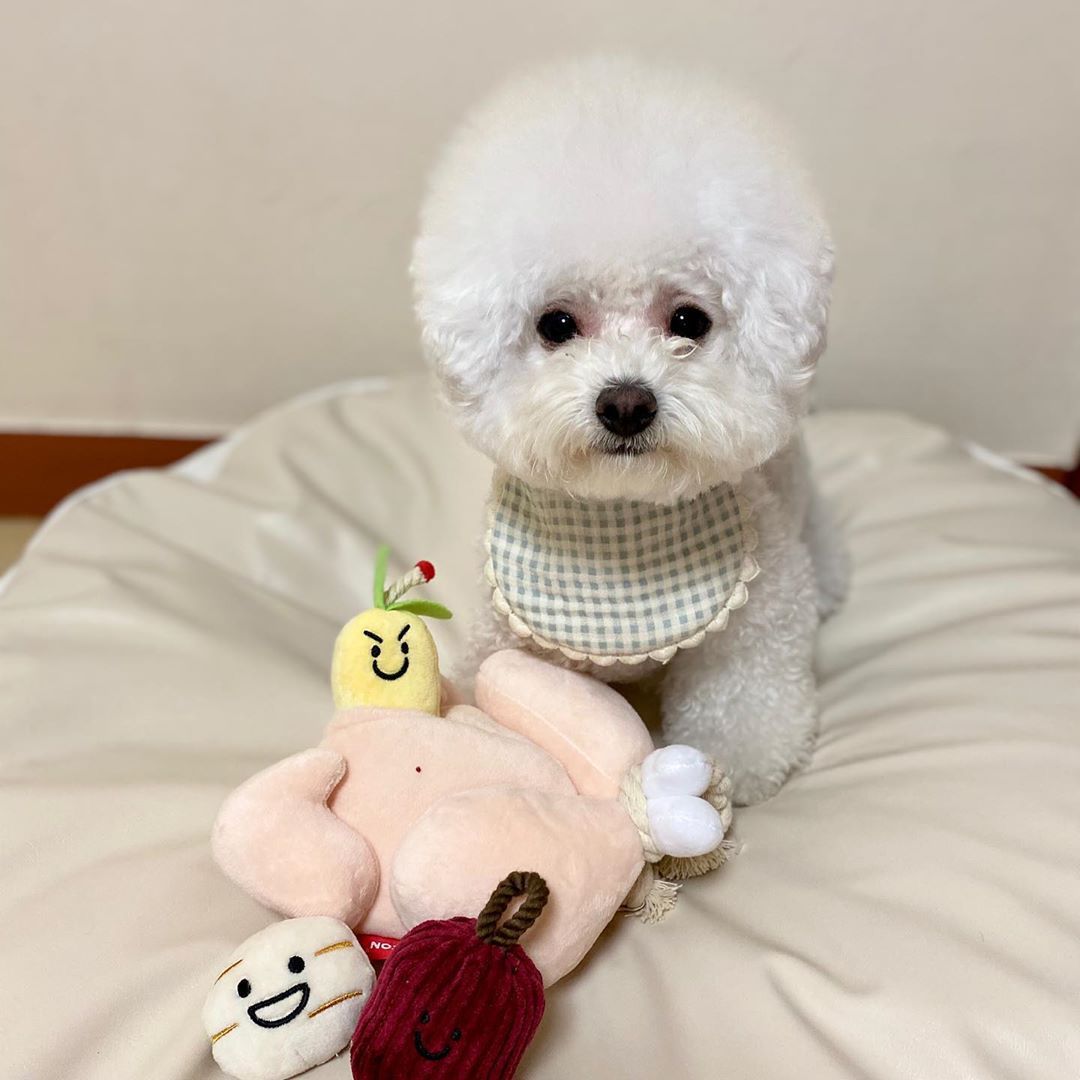 Ins Hot Style Korean Ginseng Chicken Soup Vocal Foreign Trade Original Single Dog Hidden Food Toy Pet Vocal Sniff Toy