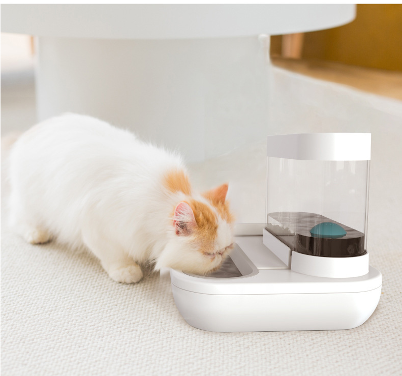 2-in-1 Pet Feeder Set with Automatic Water Dispenser