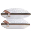 Threedimensional Pillow