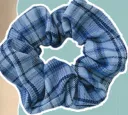 Champagne Blue Plaid