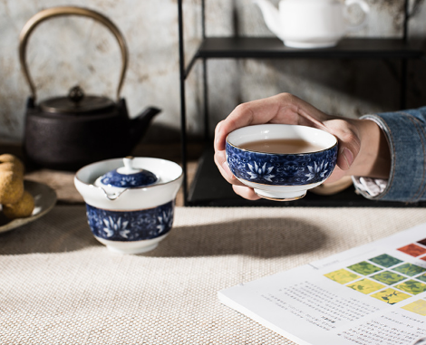 PINNY Blue-And-White Porcelain Portable Tea Set Ceramic Travel Teapots Chinese Kung Fu Tea Cup And Saucer Set Teapot Kettle
