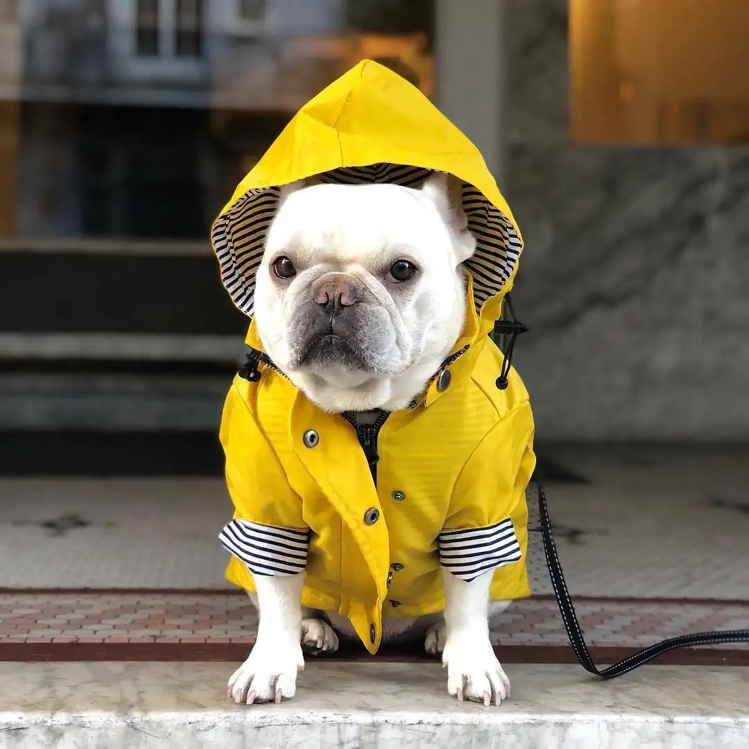 Tide Brand Windproof And Rainproof British Retro