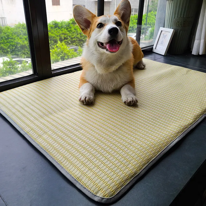 Dog Mat Sleeping With Pet Summer Anti