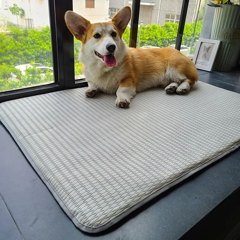 Dog Mat Sleeping With Pet Summer Anti