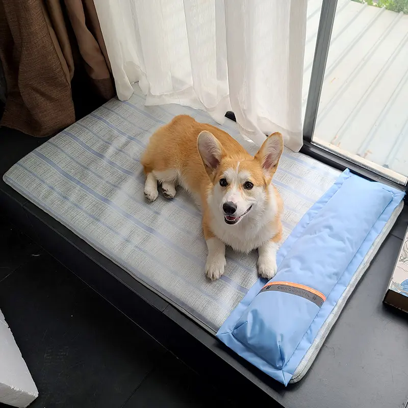 Dog Mat Sleeping With Pet Summer Anti