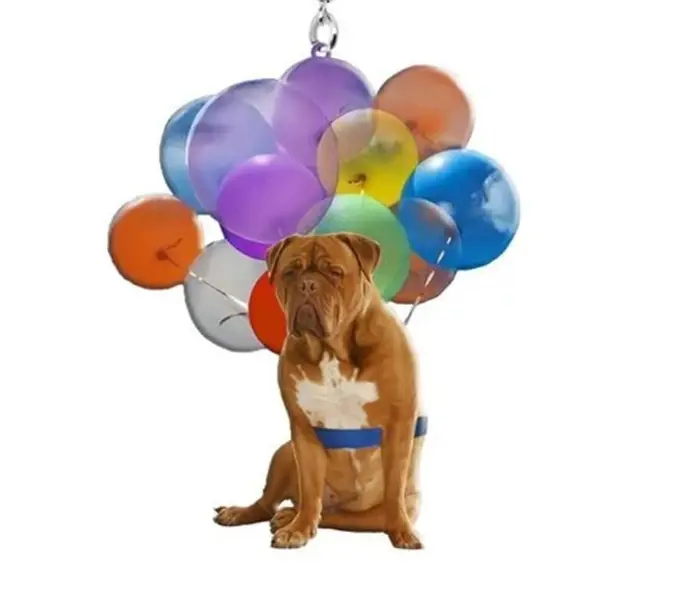 Dog Car Hanging Ornament