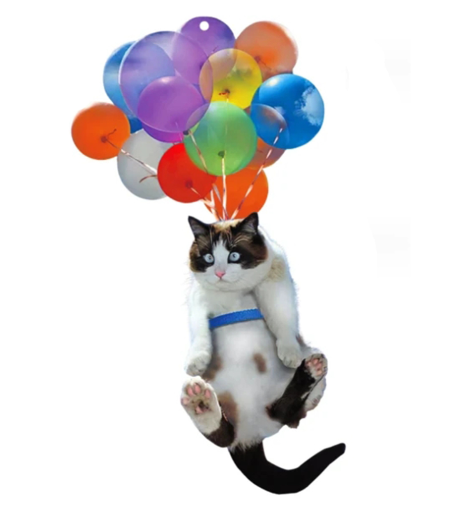 Balloon Cat