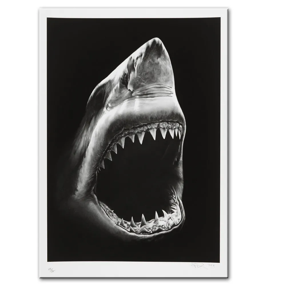 Modern Canvas Painting Shark Canvas Painting – image 2