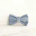 Blue Bow Tie