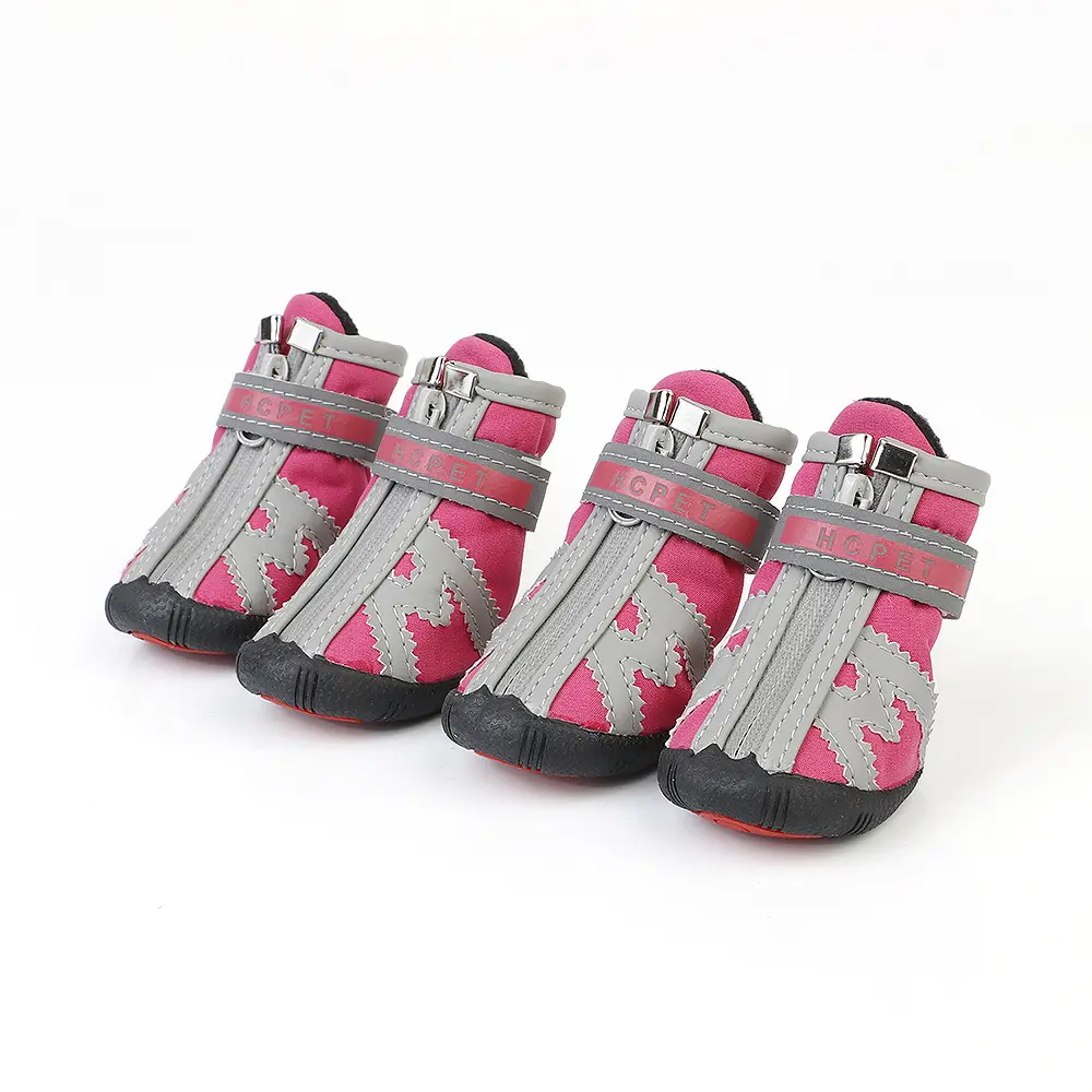 Spring And Autumn New Pet Shoes Dog