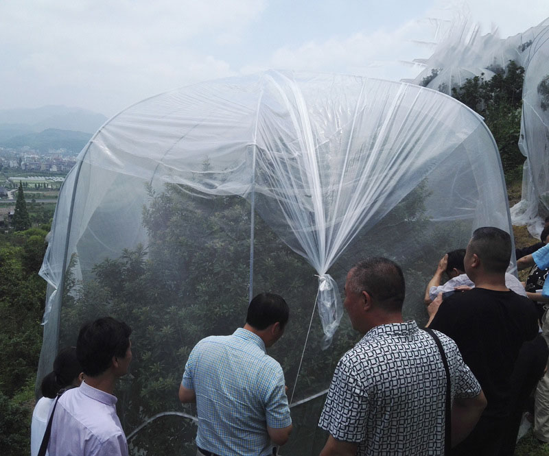 Title 5, Net Insect Net Fruit Tree Pest Control Plant Pr...