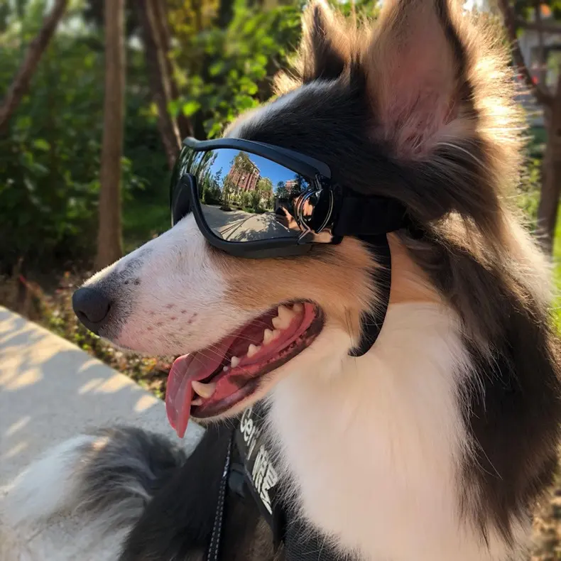 Pet Glasses Dog Sunglasses Law Fighting Supplies Strange Cat