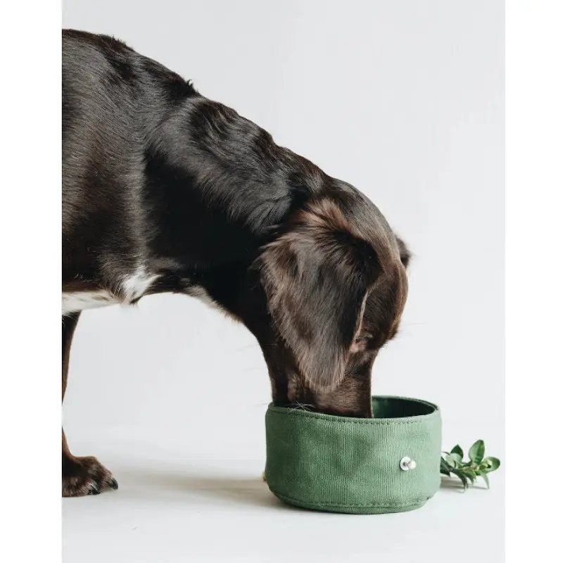 Folding Dog Bowl Canvas Tableware Drinking Water