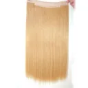 12 Inch