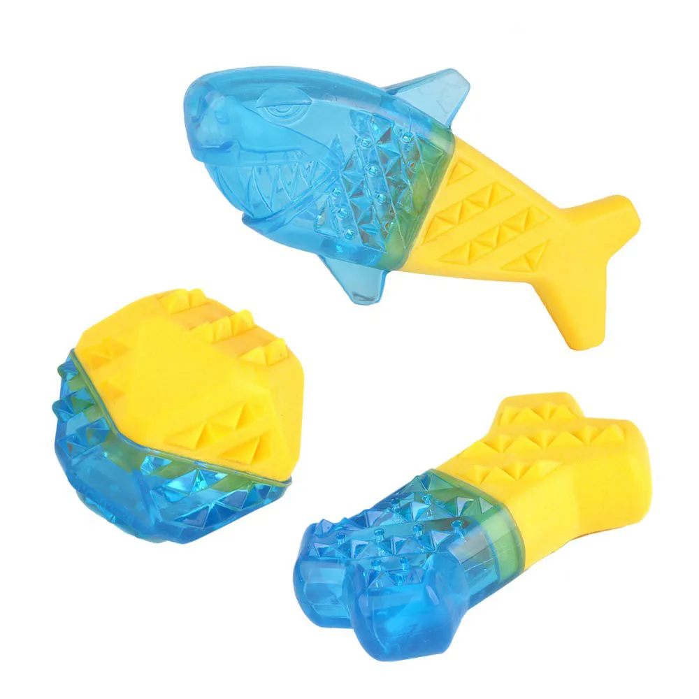 Pets Can Be Filled with Water and Frozen Bone