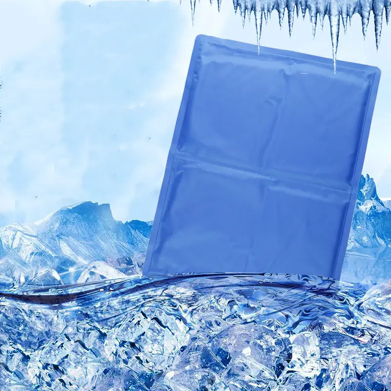 Ice Mat Summer Cooling Cushion Mat Mat Pet Ice