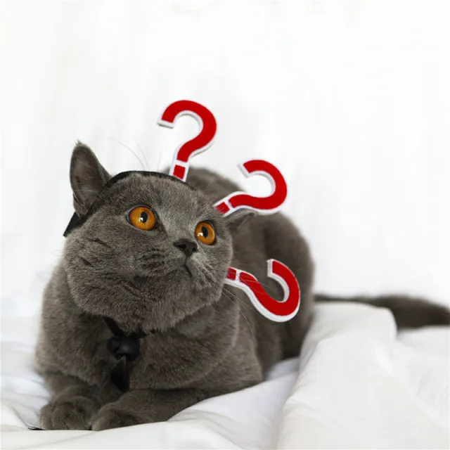 Pet Cat Funny Village Girl Braids Cat Question Mark Face Upside Down Braid Headgear Question Mark - Shop at LoveMi