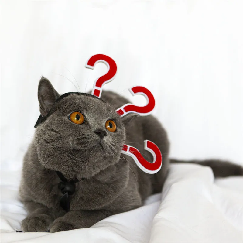 Pet Cat Funny Village Girl Braids Cat Question Mark Face Upside Down Braid Headgear - Question Mark