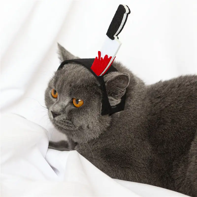 Pet Cat Funny Village Girl Braids Question