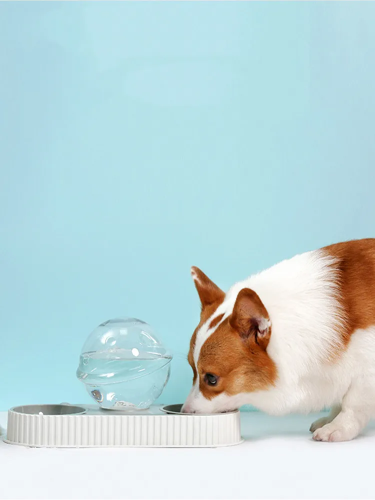 Plastic Pet Feeding Drinkers Cat Dog Automatic Feeder Drinking Animal Pet Bowl Water Bowl For Pets Dog Automatic Drinkers – image 9