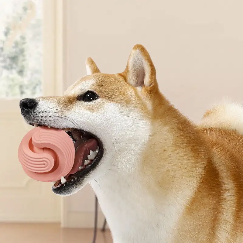 Dog Chew Toy Ball for Interactive Play and Teeth Cleaning