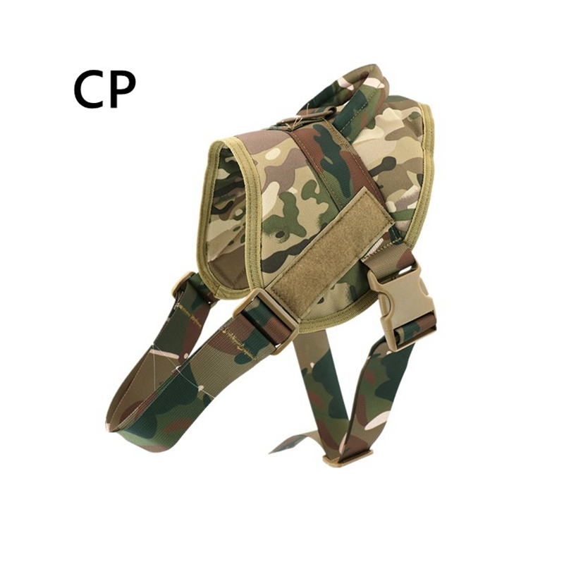 CP