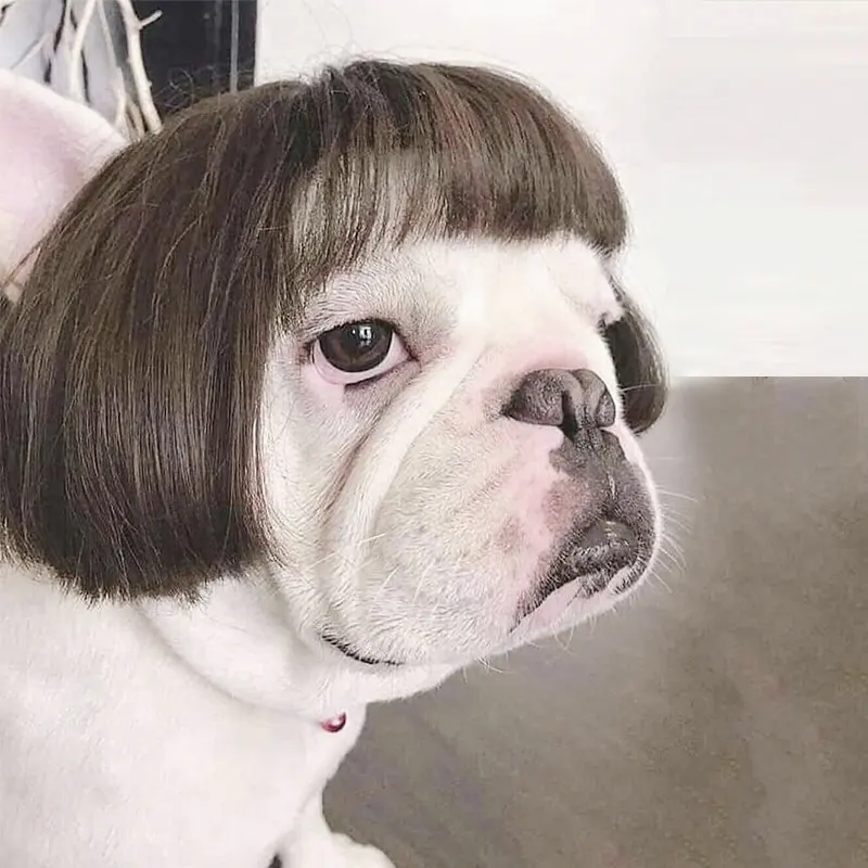 Fashion Pet Wigs Cat Dog Cosplay Props Tiara Hairpiece